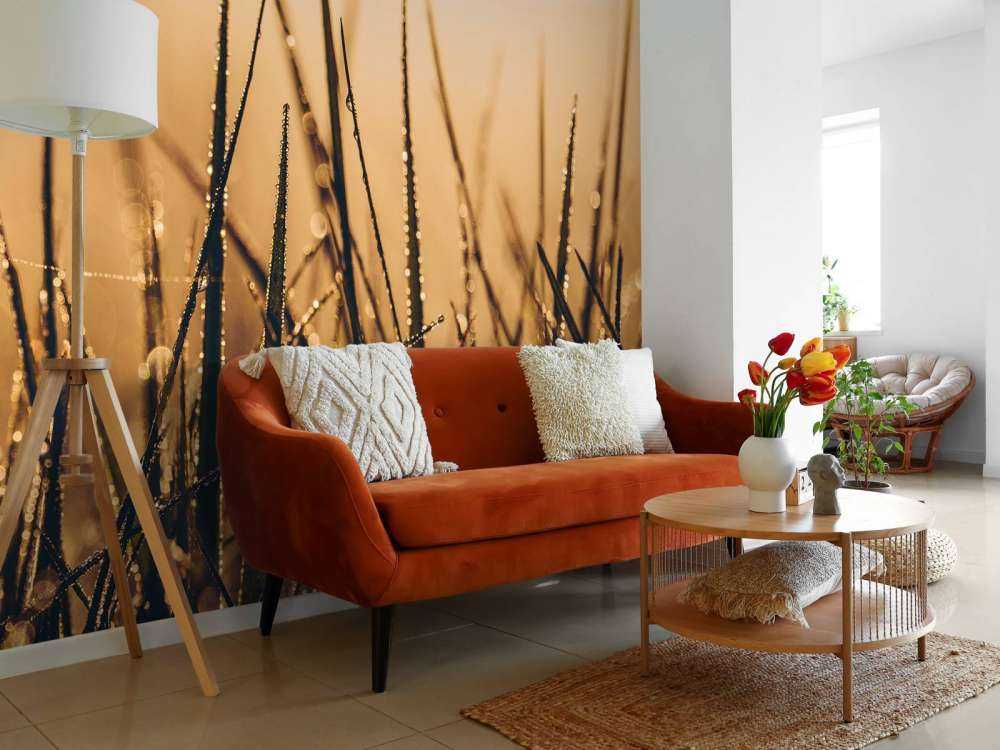 Herbe de rosée étincelante