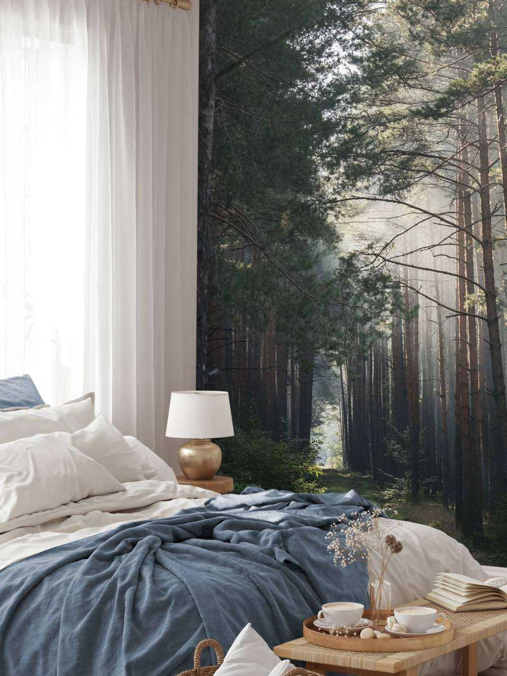 Lueur d'automne dans la forêt