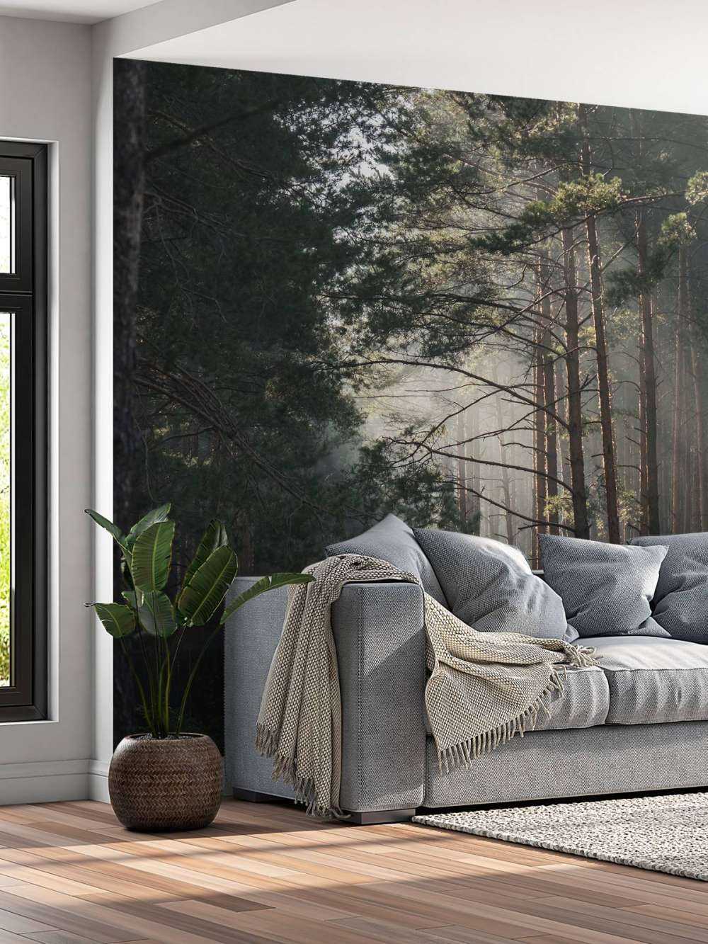 Lueur d'automne dans la forêt