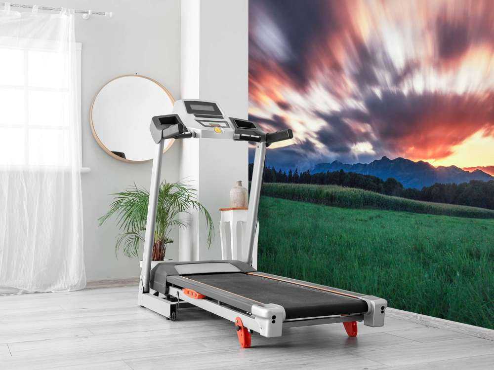 Coucher de soleil au-dessus de la plaine verte