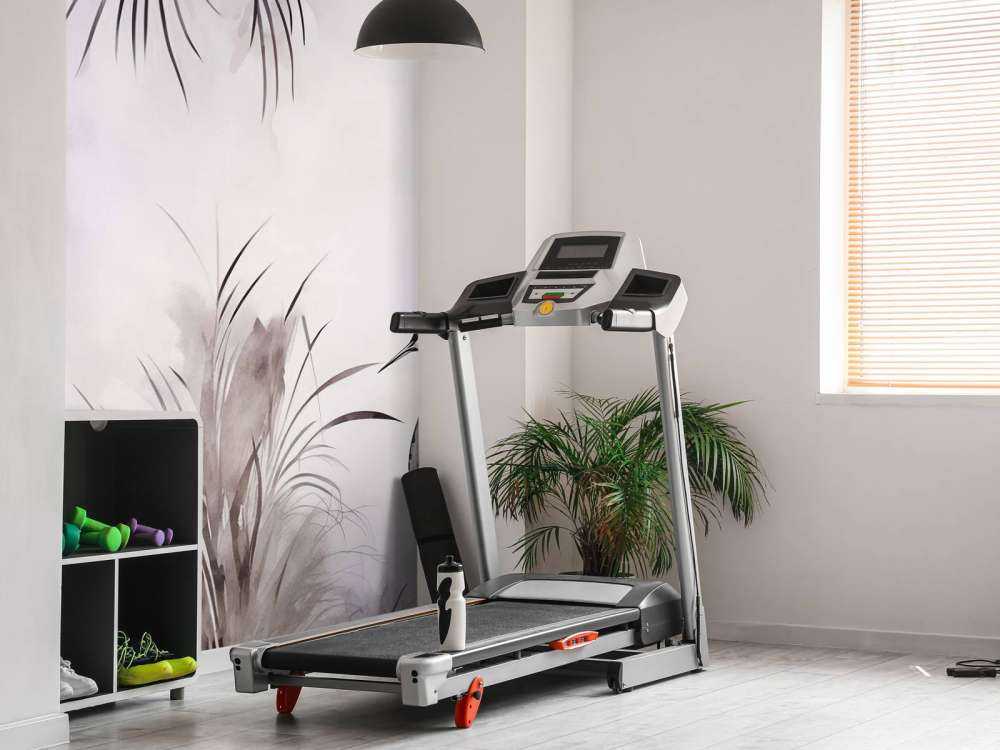 Grues dans le champ blanc