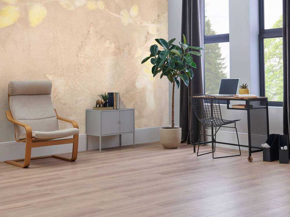 Sureau et mûre sauvage - noisette