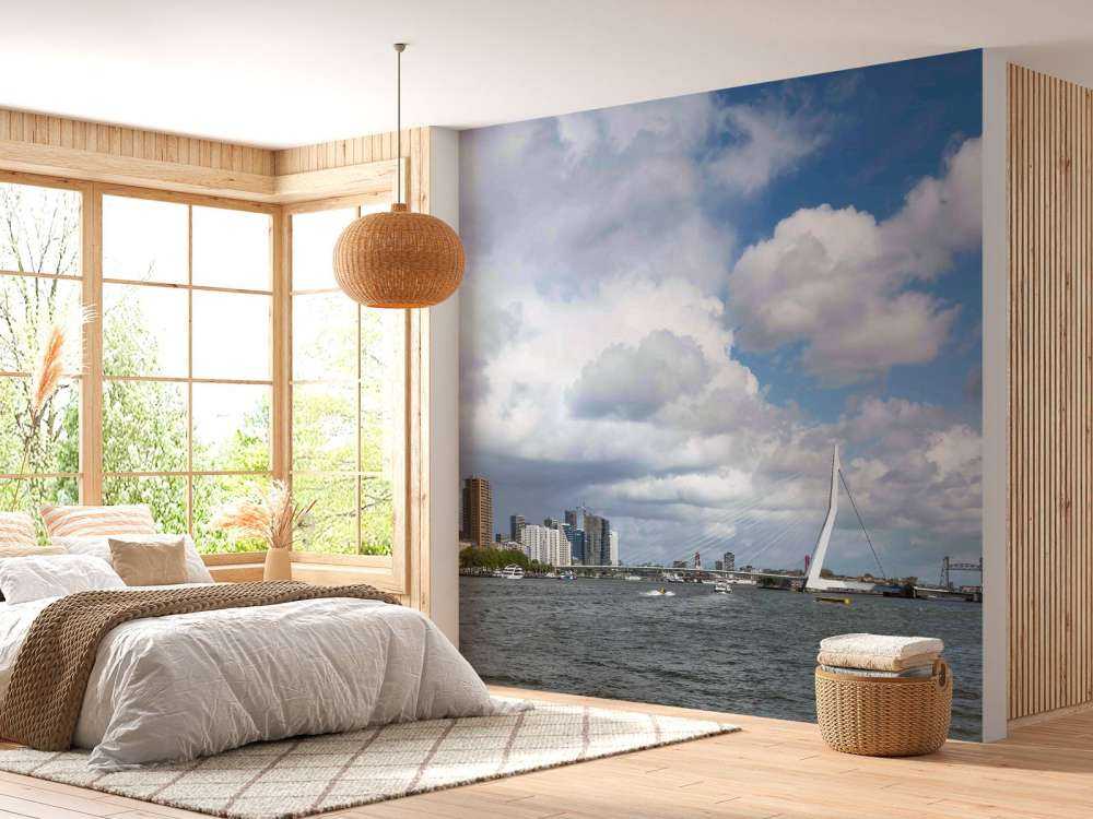 Vue de la ville avec le pont Erasmus