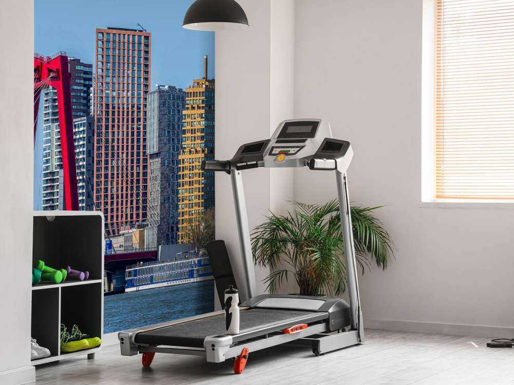 Willemsbrug et la skyline de Rotterdam