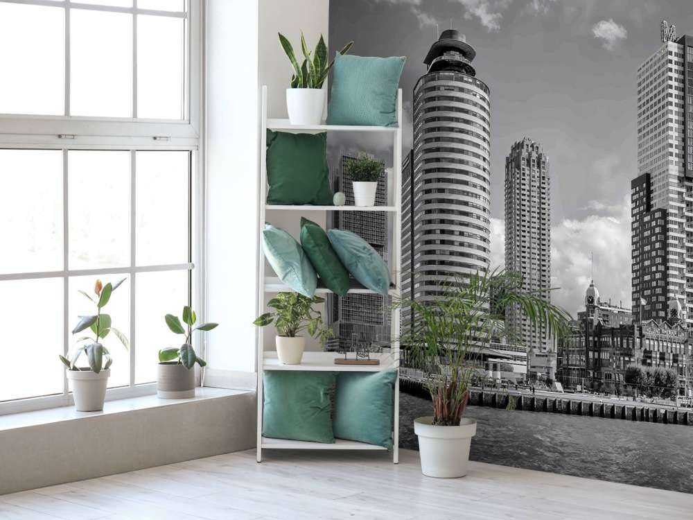 Contraste Noir-Blanc sur la Tête du Sud