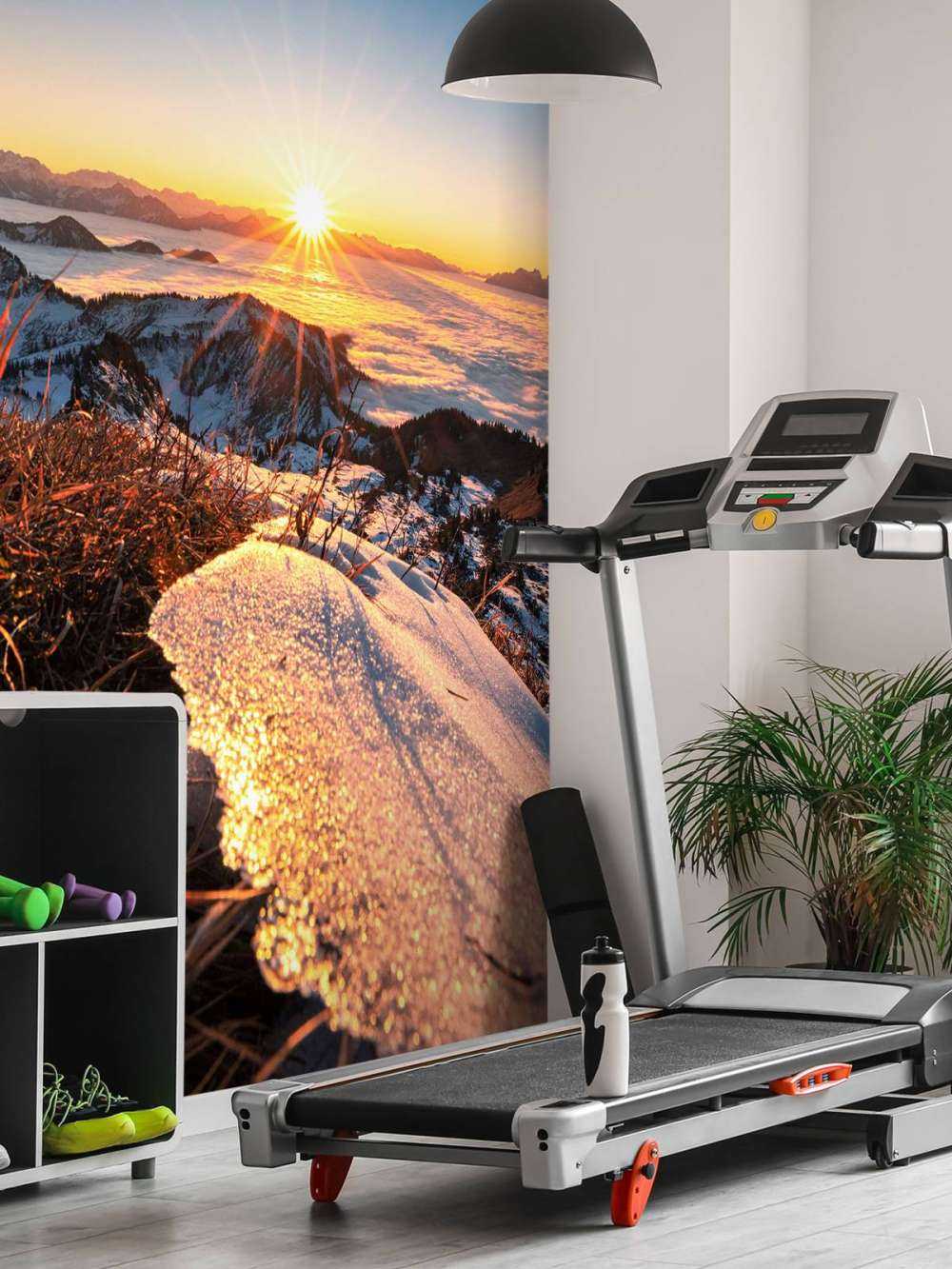 Le soleil du matin sur la prairie de montagne scintillante