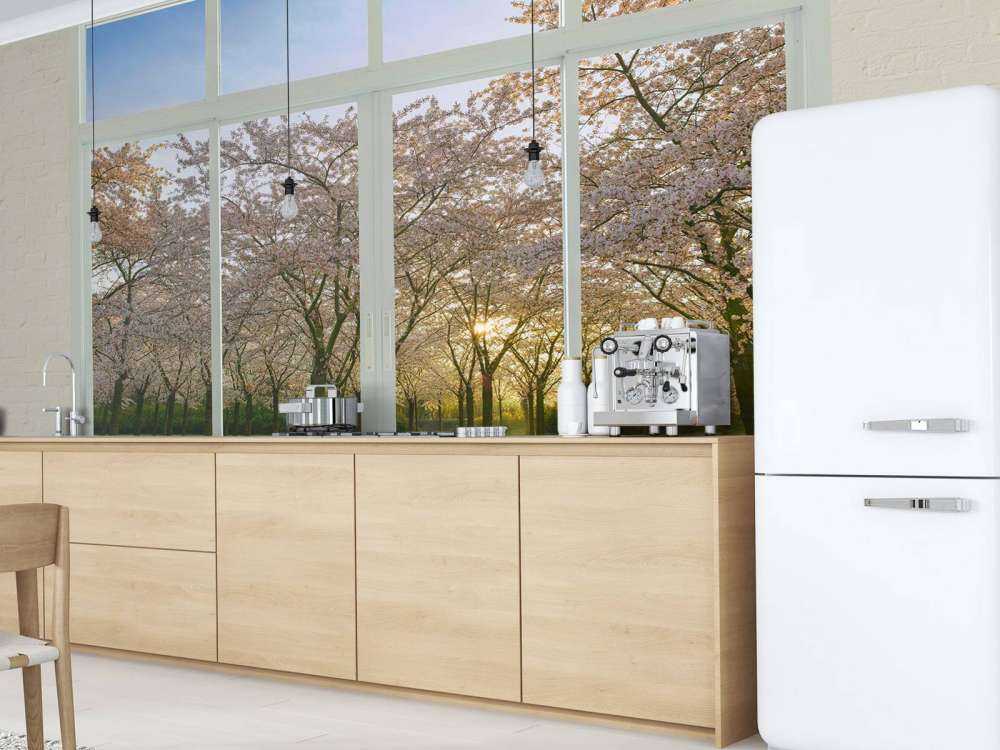 Bloesempark au soleil de printemps