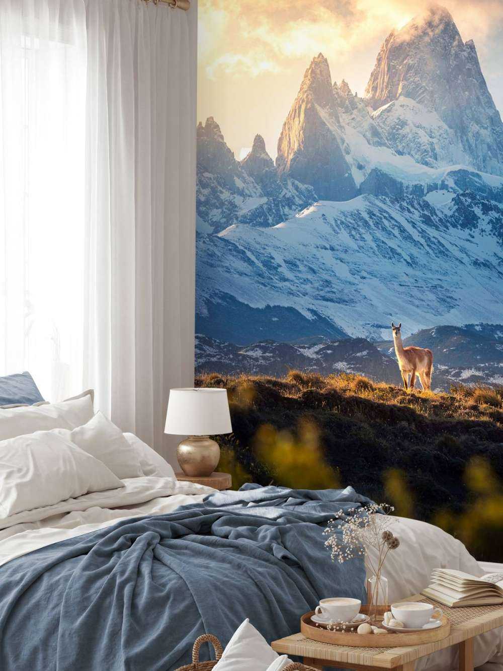 Guanaco devant les sommets enneigés de la Patagonie.