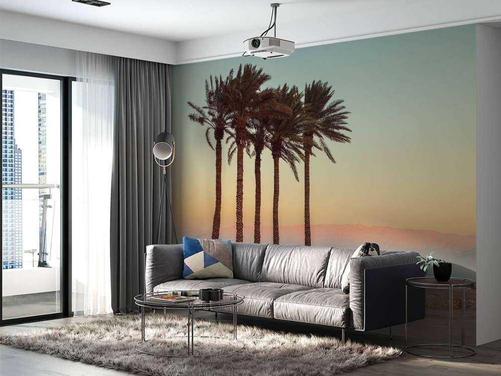 Palmiers au coucher du soleil