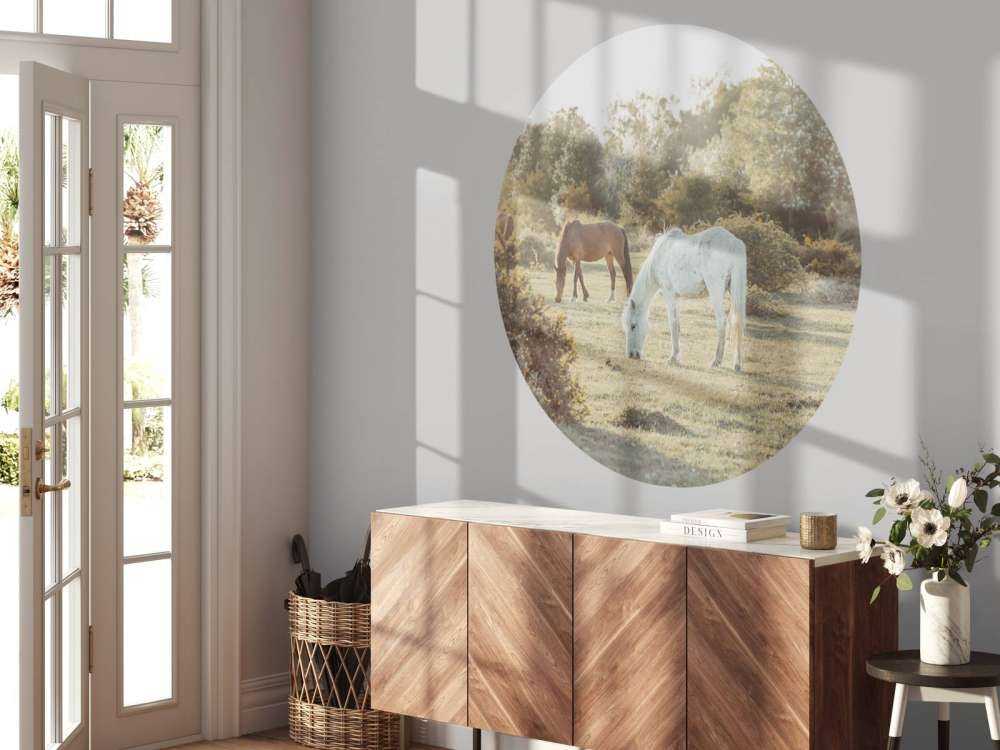 Chevaux dans la prairie