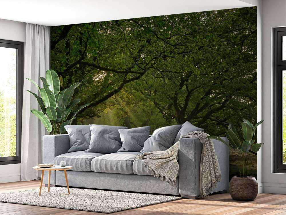 Chemin entre les chênes