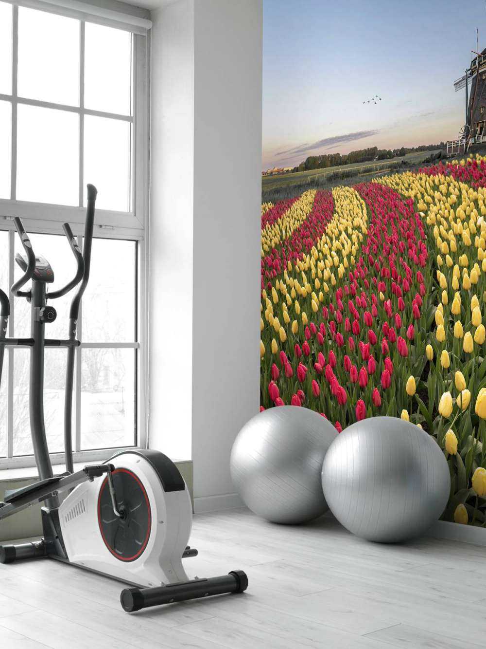 Champ de tulipes néerlandais