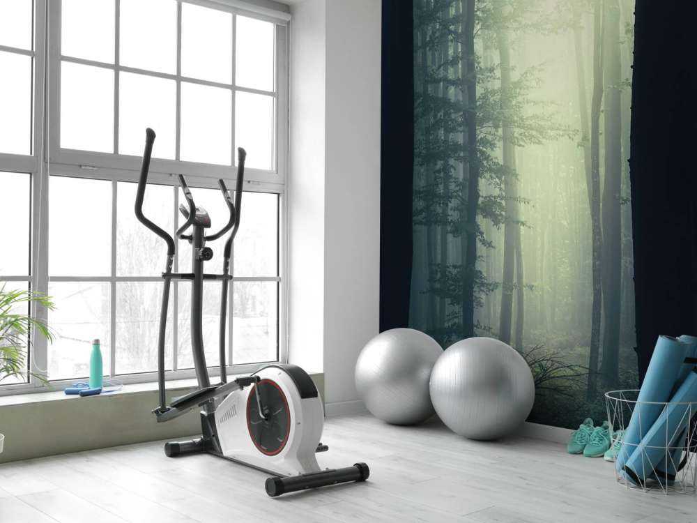 Rayon de soleil dans la forêt