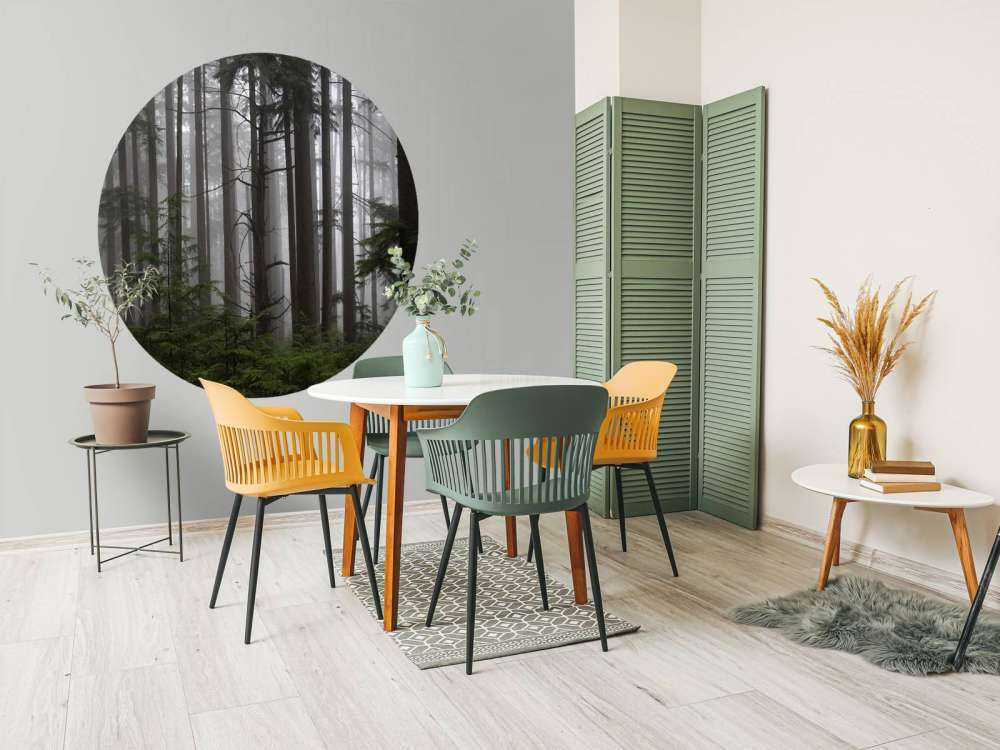 Forêt par temps de brouillard