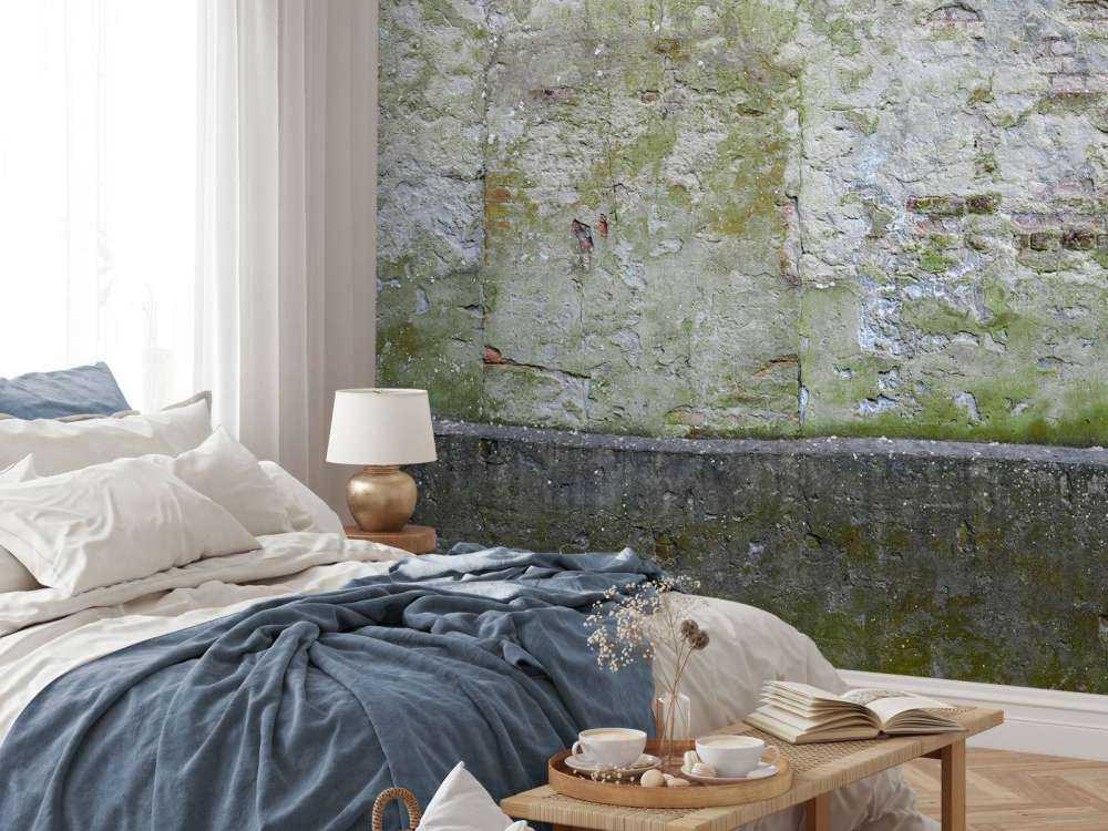 Mousse sur un vieux mur