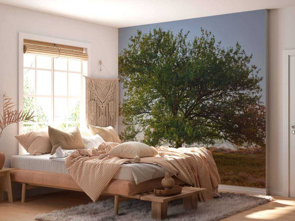 Arbre solitaire sur la lande