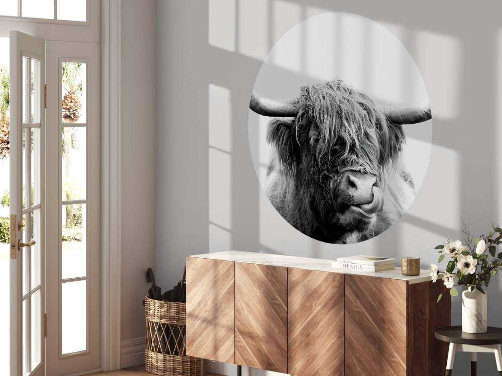 Drôle de Highland écossais