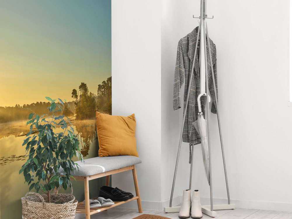 Lever de soleil au lac forestier