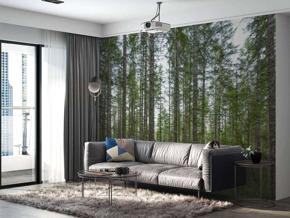 Arbres hauts et droits