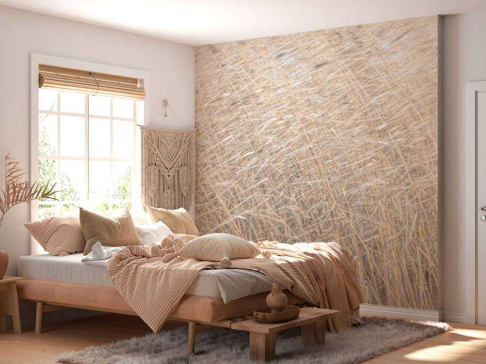 Brown reeds growing in water