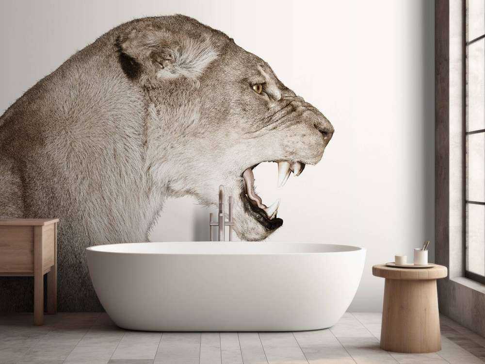 Lionne vue de côté blanc cassé