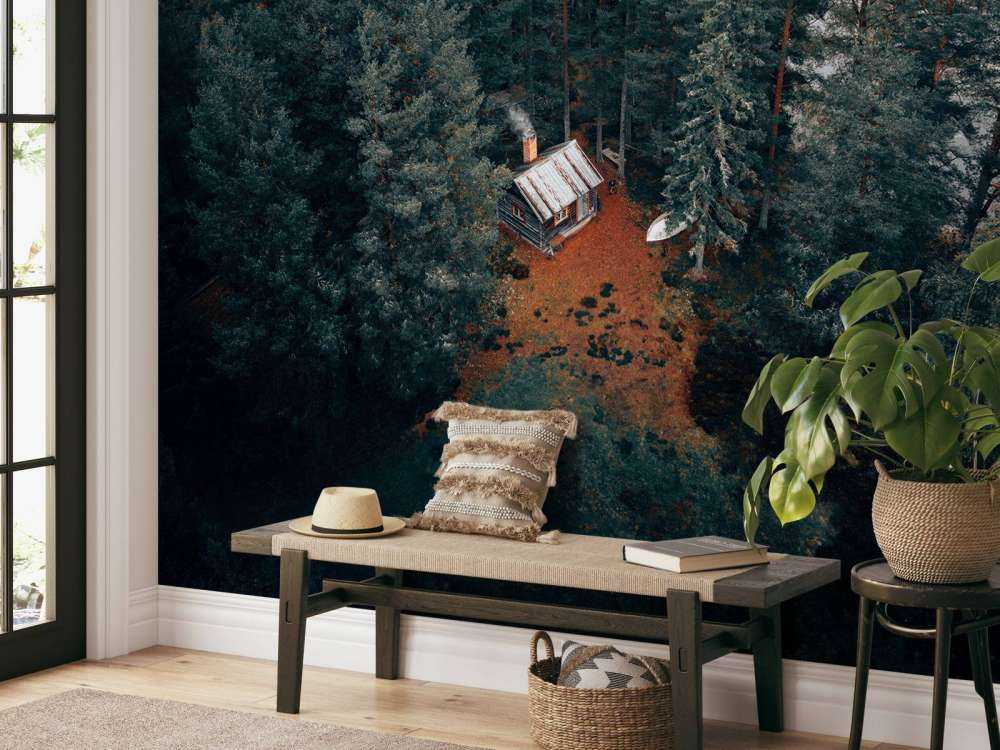 Cabane entourée de forêts et de lacs