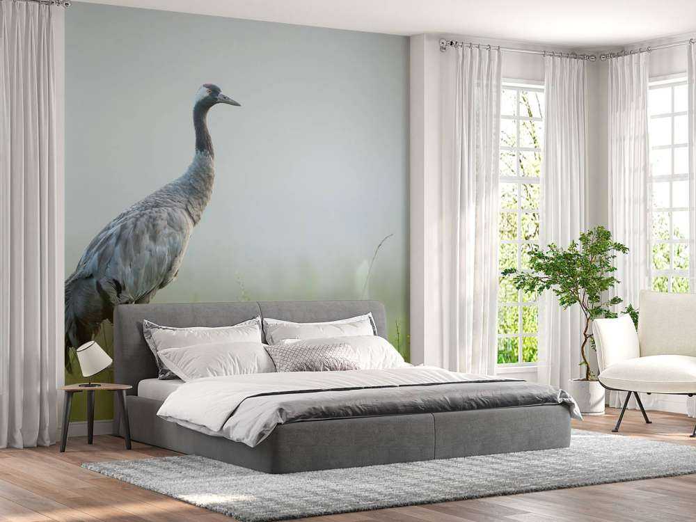 Grue dans la brume du matin