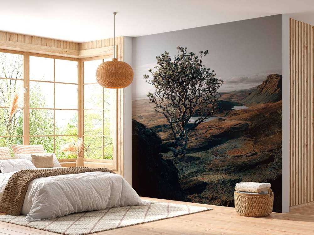 Début de journée en montagne