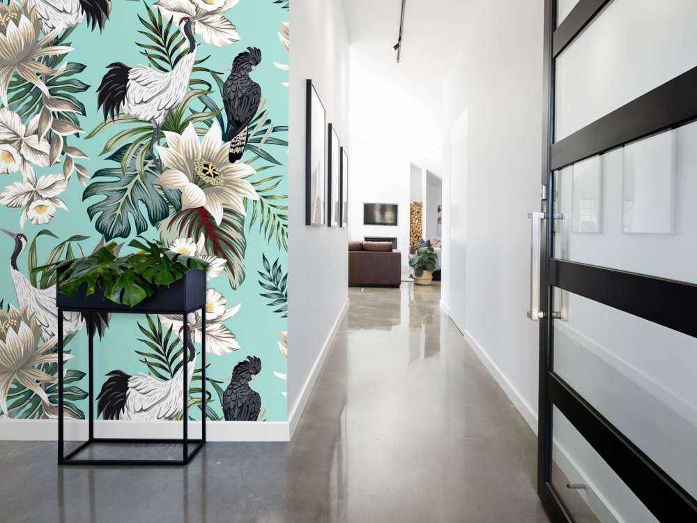 Grues couronnées et perroquets