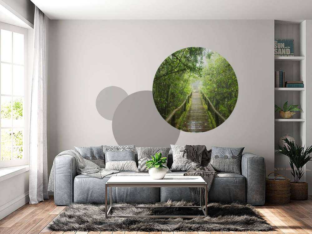 Jungle verte et brumeuse