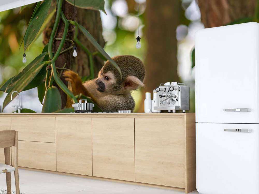 Petit singe dans les arbres