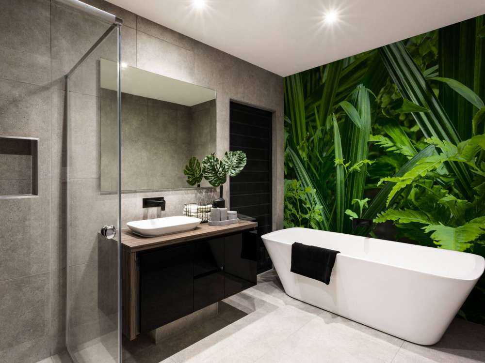 Panorama avec des plantes