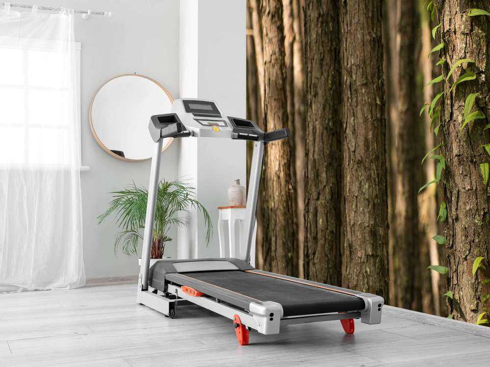 Troncs d'arbres minces