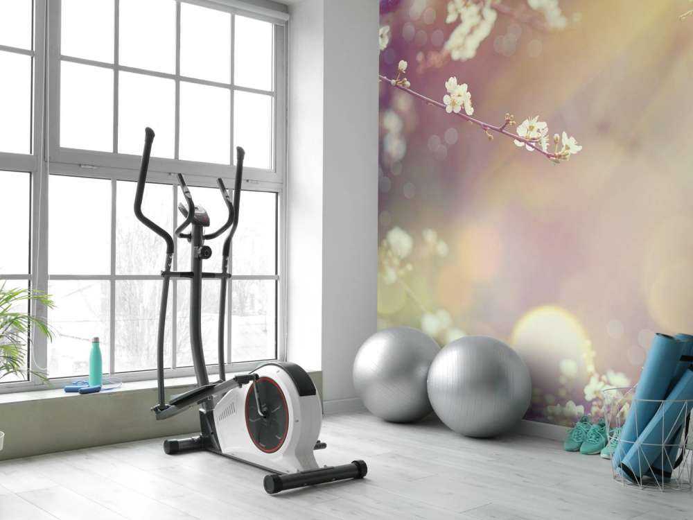 Fleurir sur une branche