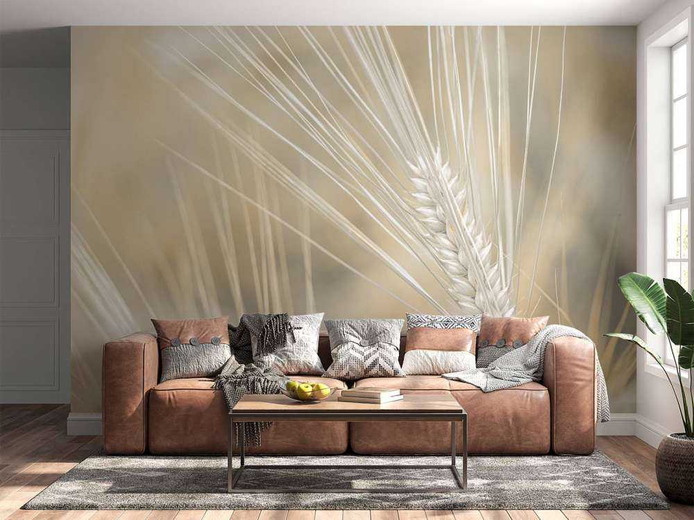 Gros plan sur le blé