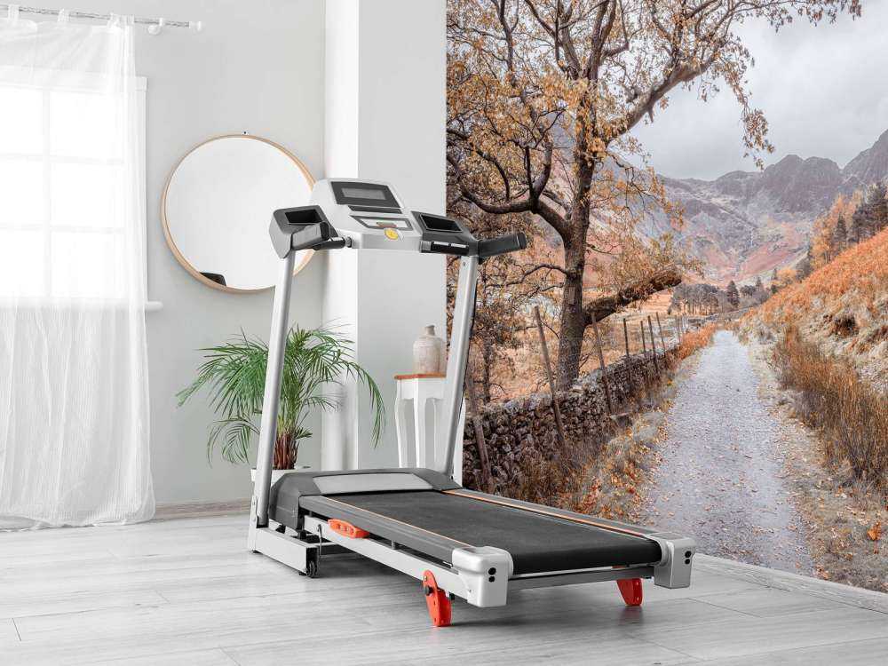 Chemin entre les montagnes