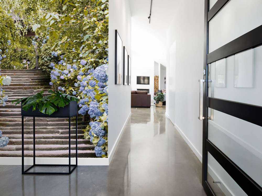 Fleurs bleues dans un parc