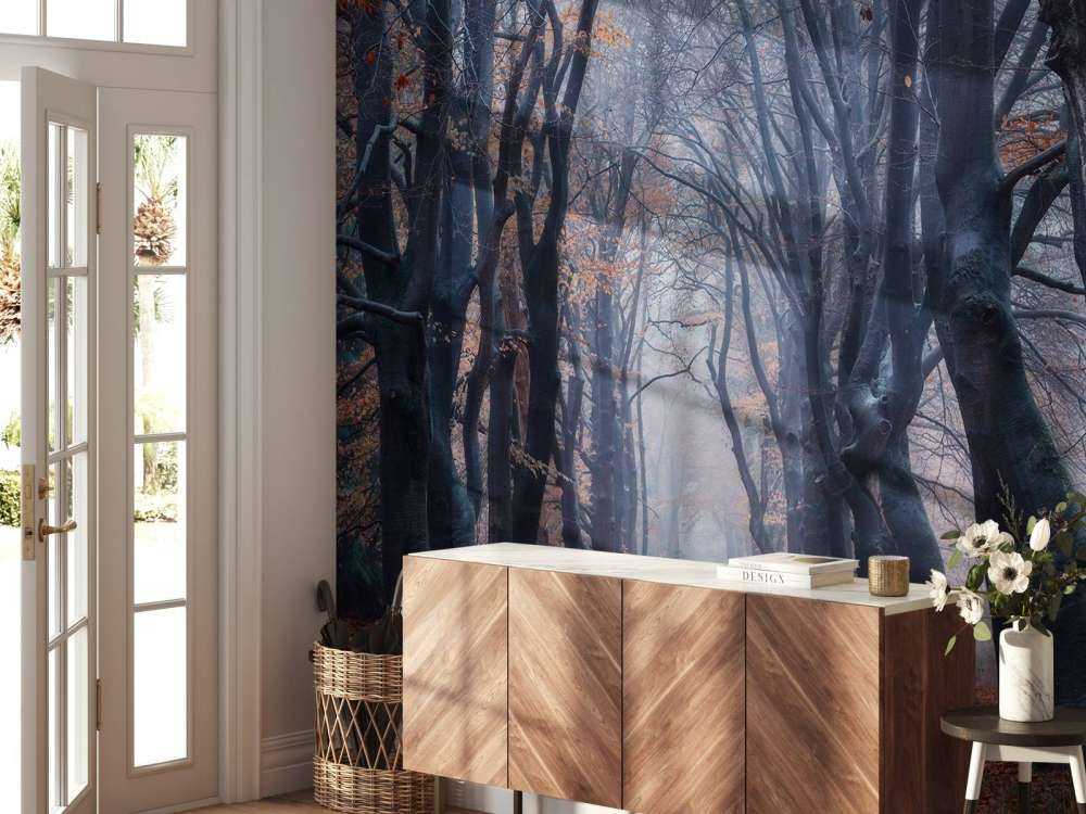 Chemin forestier avec des feuilles