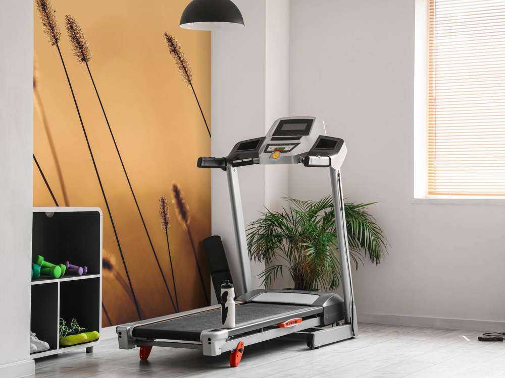 Herbe Murmurante dans le Soleil du Matin