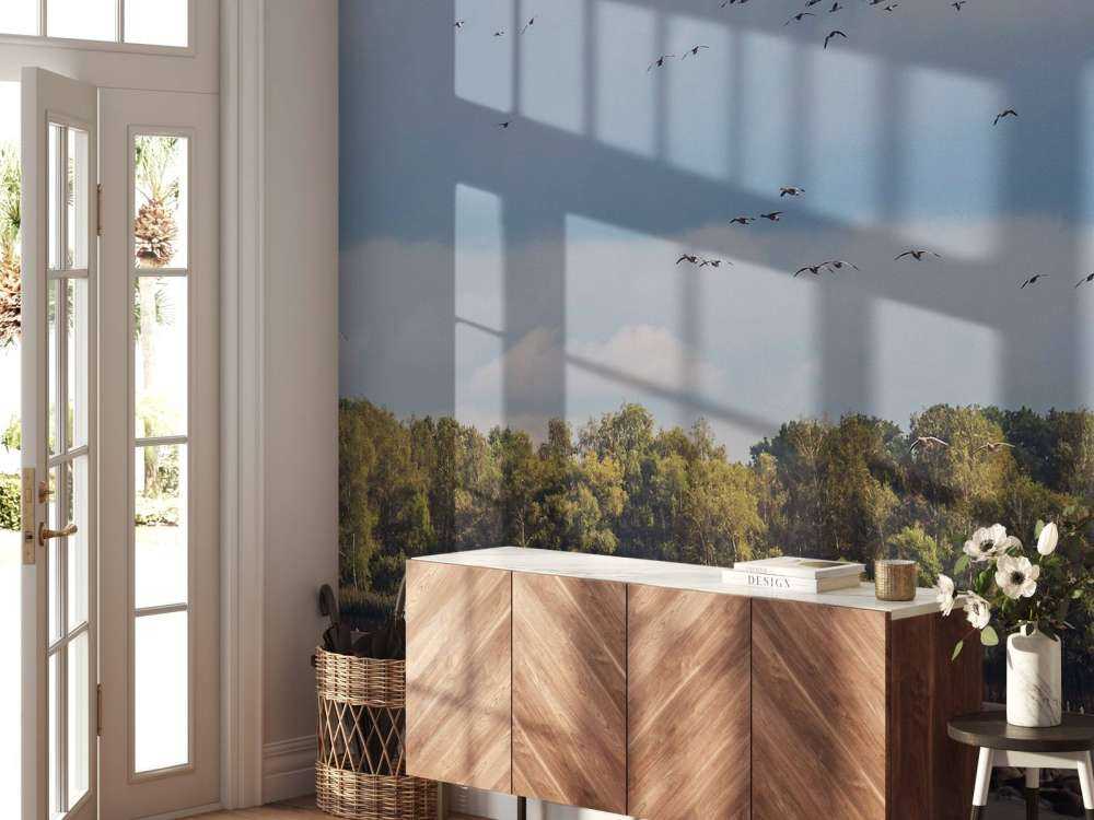 Vol au-dessus de l'eau