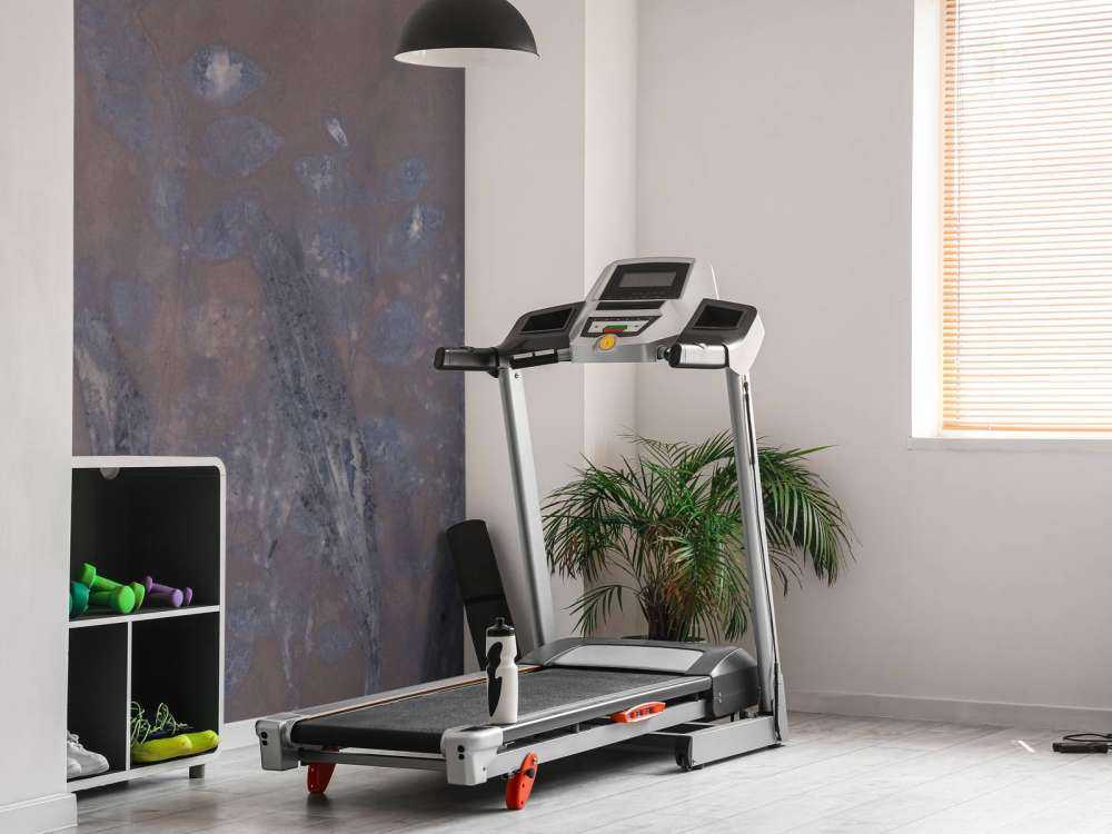 Schapenzuring et saule arbustif - aubergine