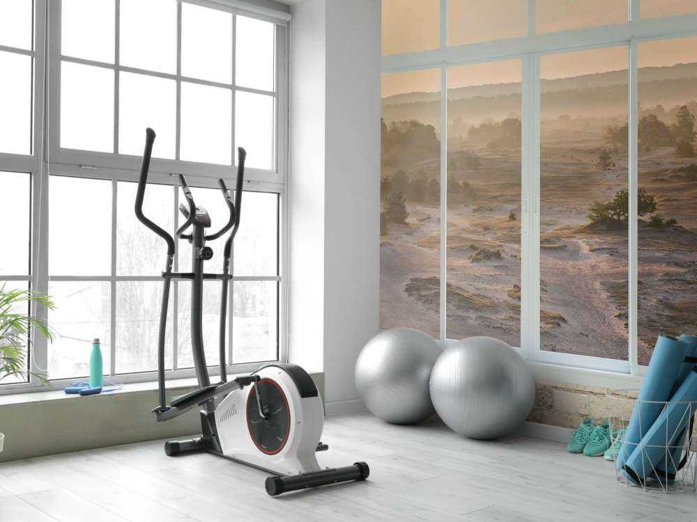 Dune de sable dans la brume du matin