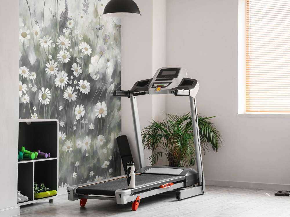 Verdure luxuriante de l'été vert olive