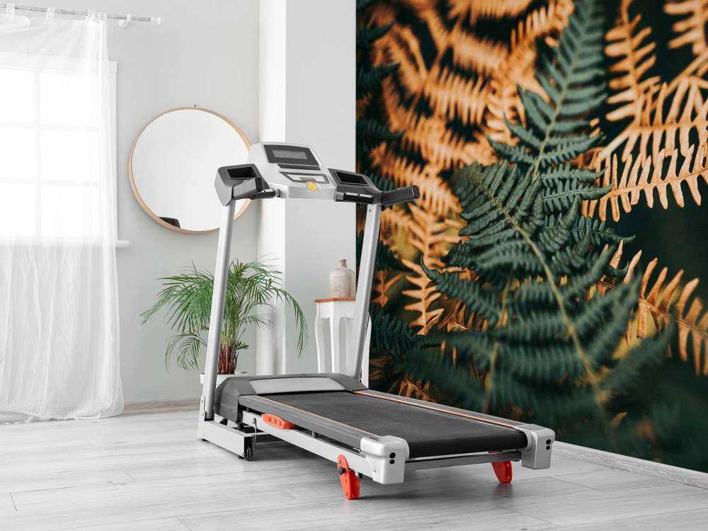 Fougères vertes profondes et dorées