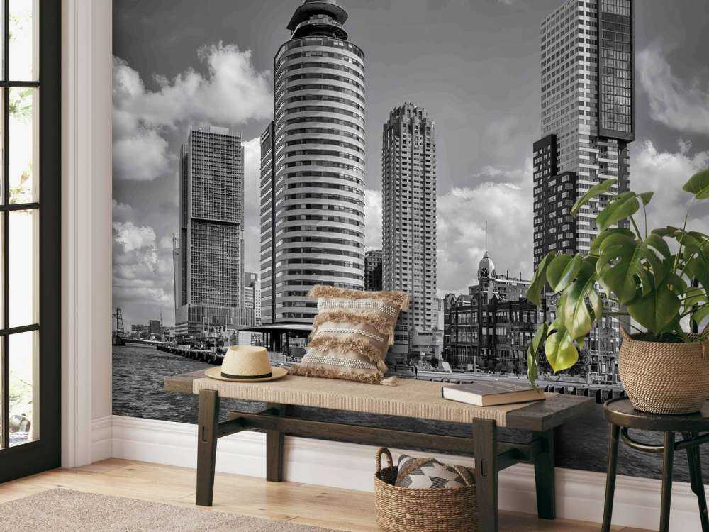 Contraste Noir-Blanc sur la Tête du Sud