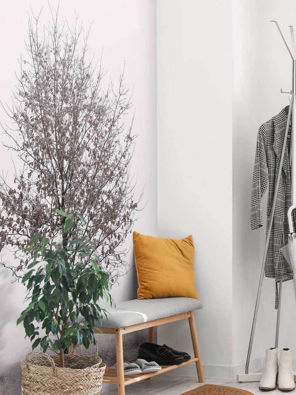 Paysage d'hiver minimaliste