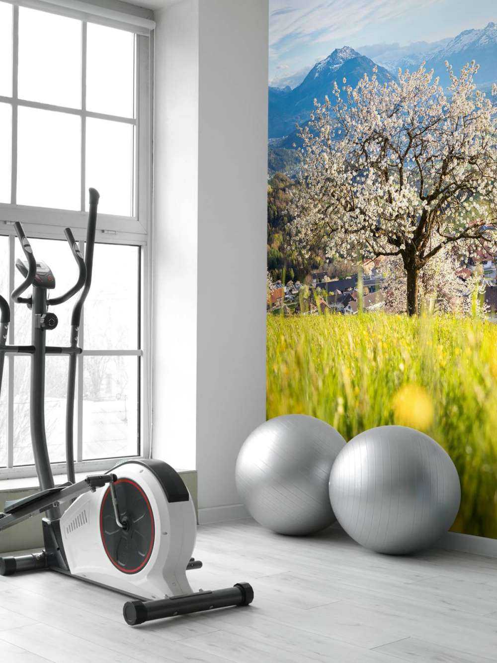 Cerisier en fleurs dans une prairie alpine