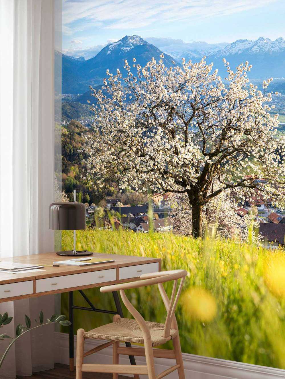 Cerisier en fleurs dans une prairie alpine