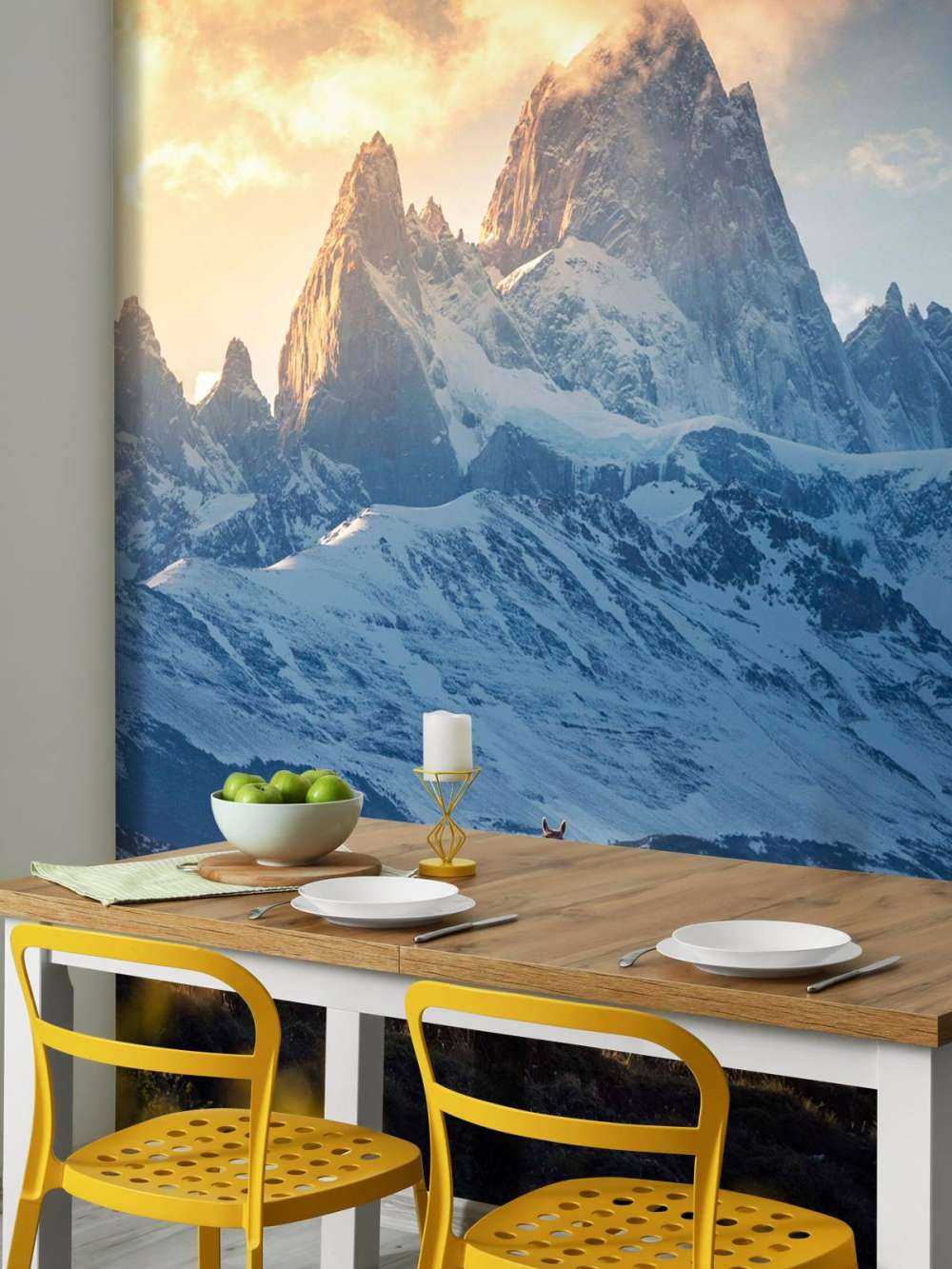 Guanaco devant les sommets enneigés de la Patagonie.