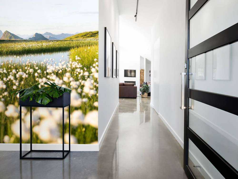 Lumière estivale sur un paysage tourbeux fleuri